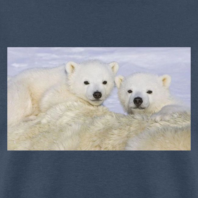 polarbears