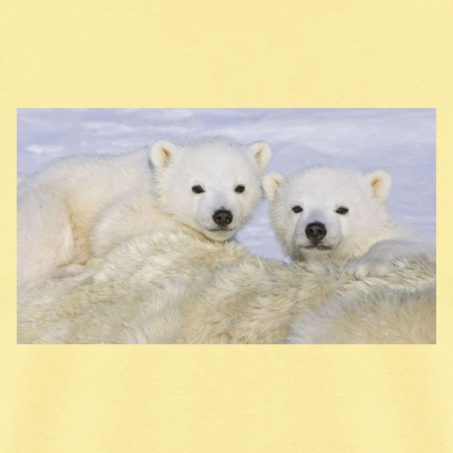 polarbears