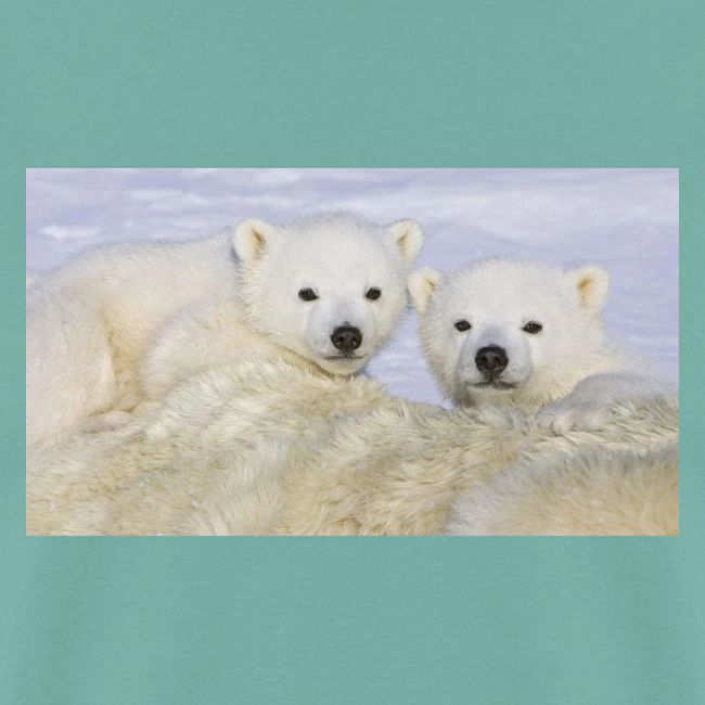 polarbears