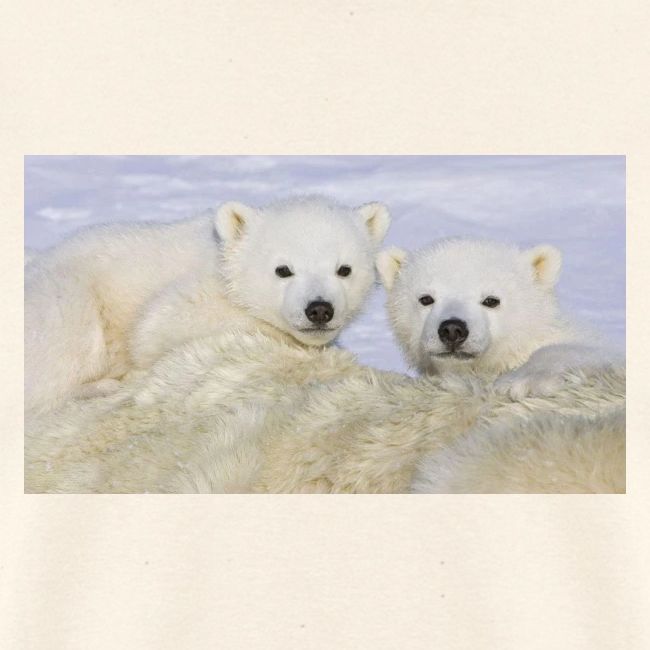 polarbears
