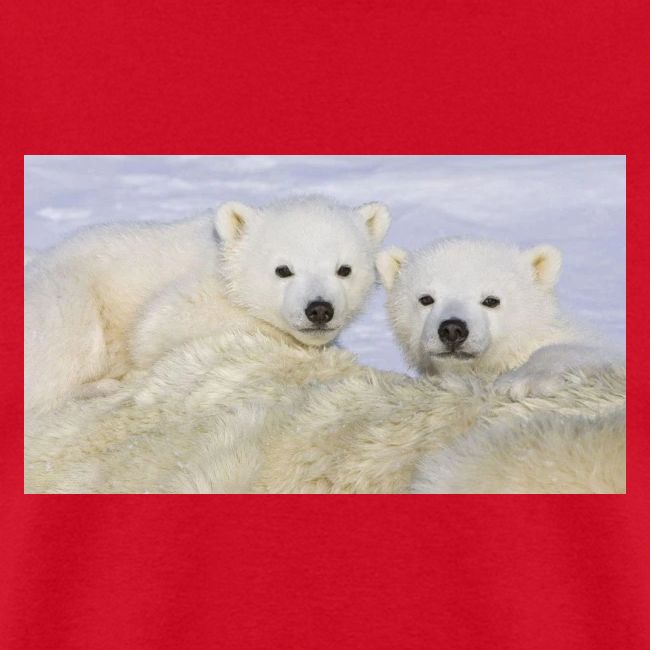 polarbears