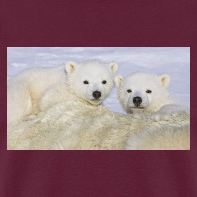 polarbears
