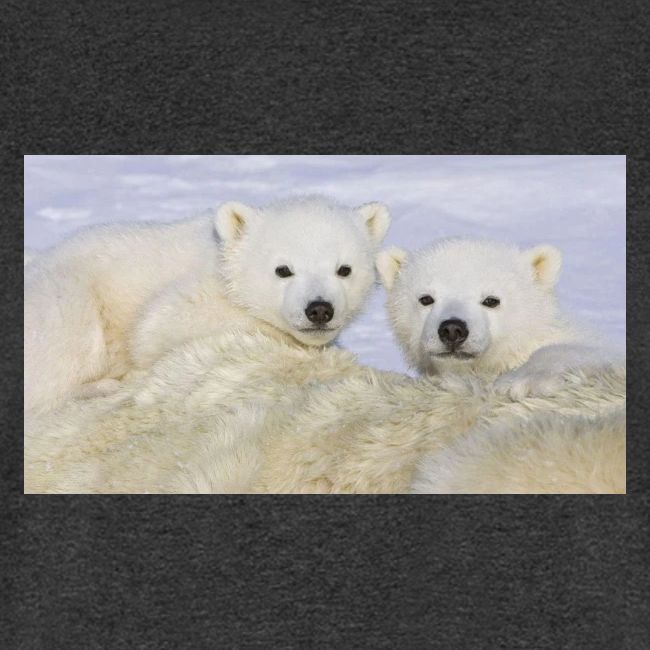 polarbears