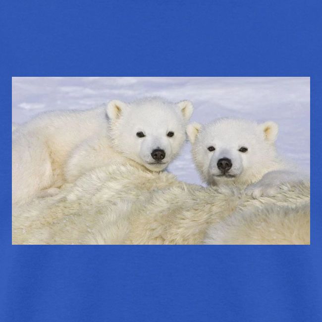polarbears