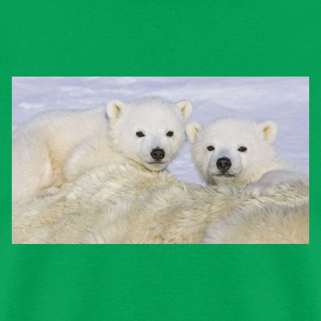 polarbears