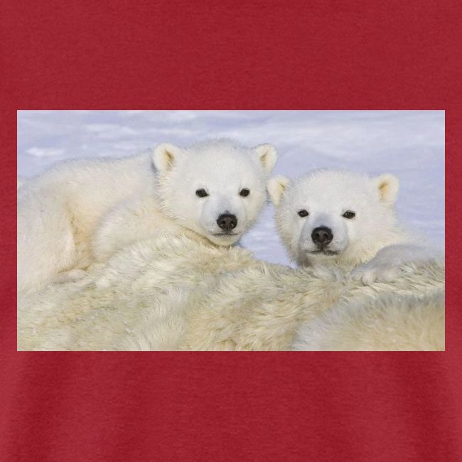 polarbears