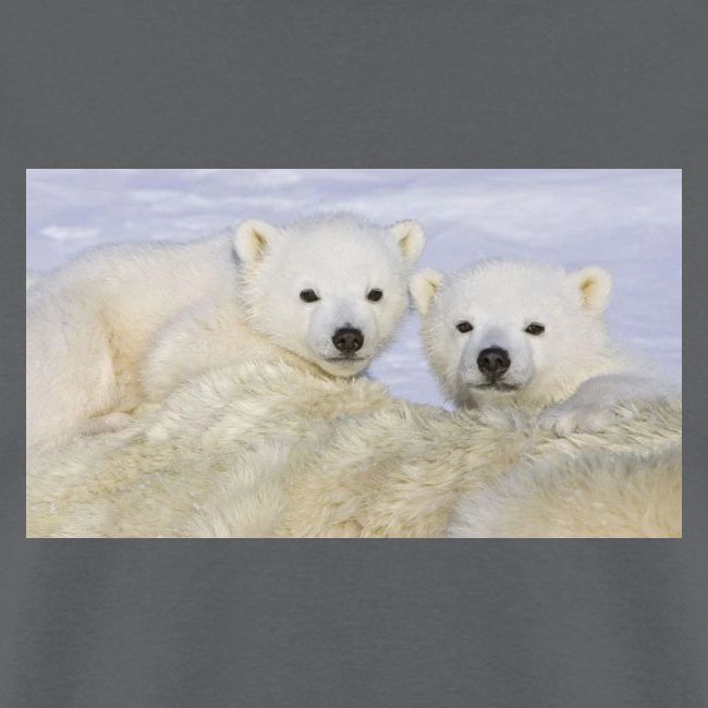 polarbears