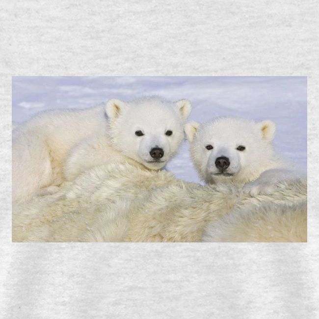 polarbears