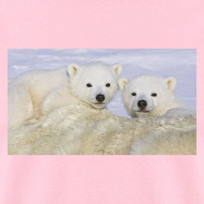 polarbears