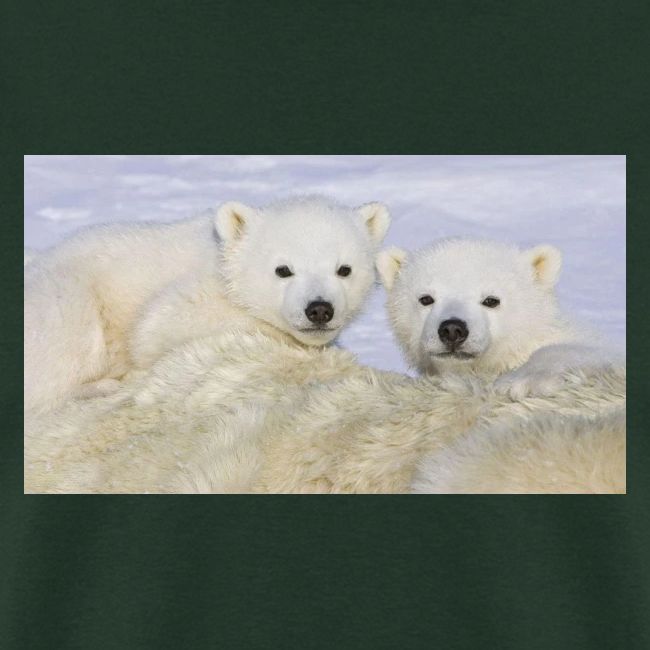 polarbears