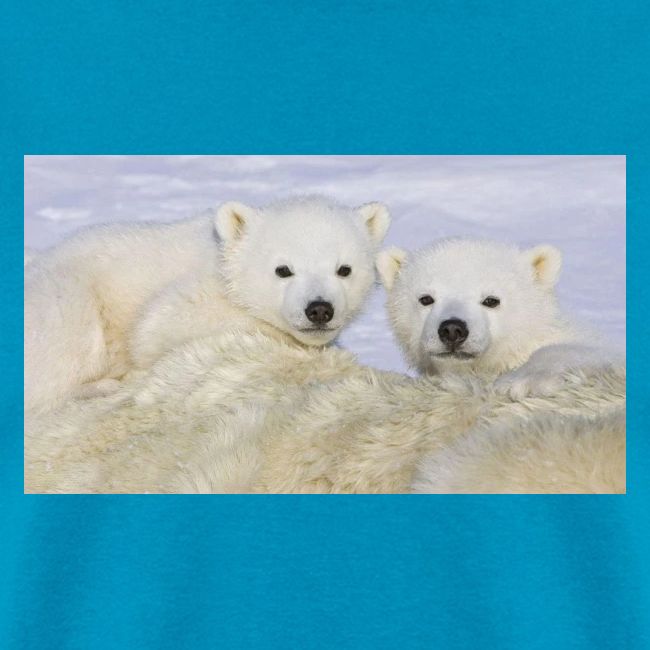 polarbears
