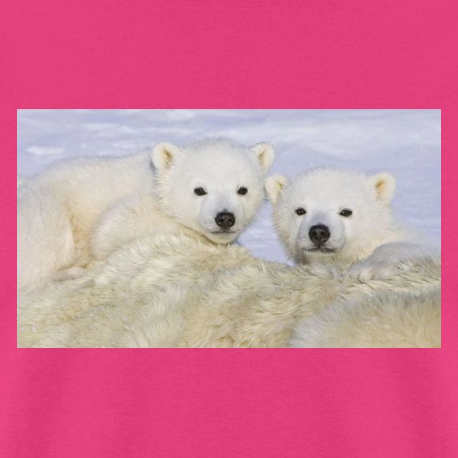 polarbears