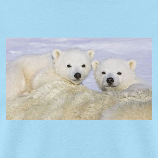 polarbears