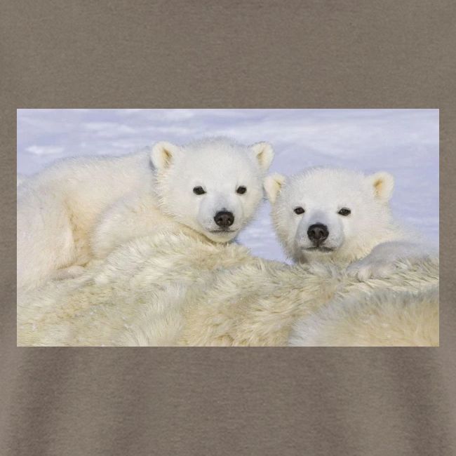 polarbears