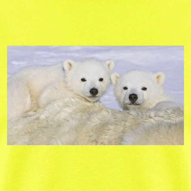 polarbears