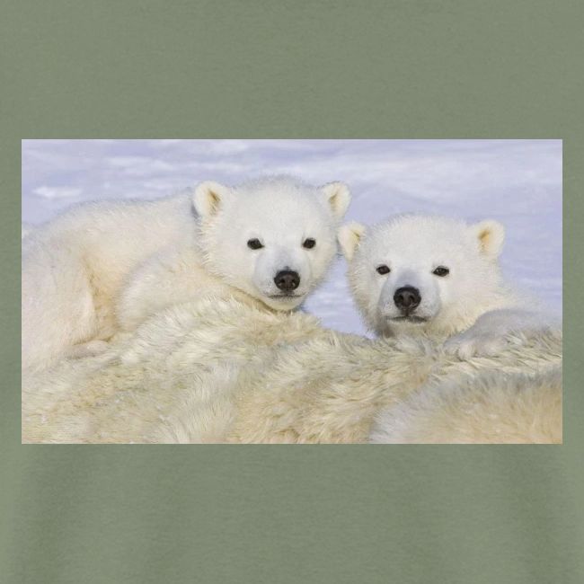 polarbears