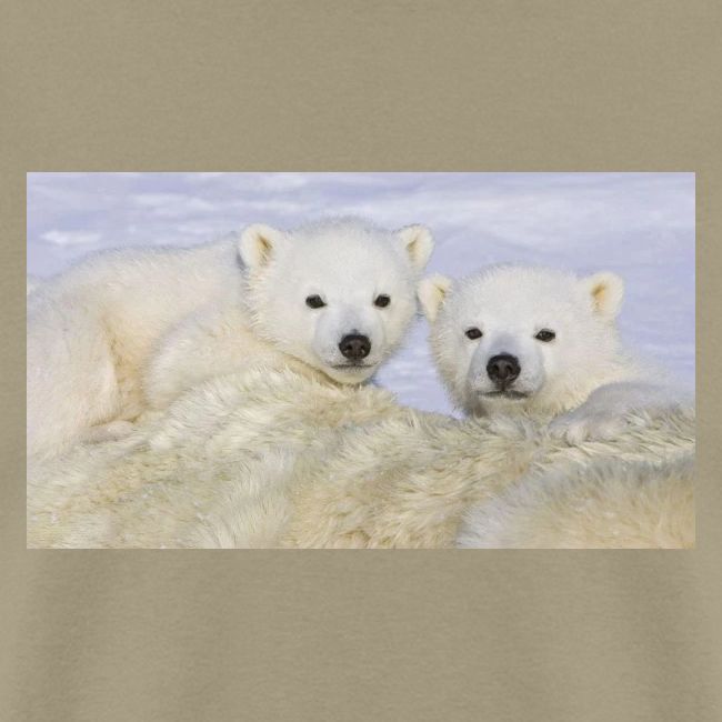 polarbears