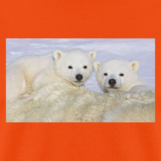 polarbears