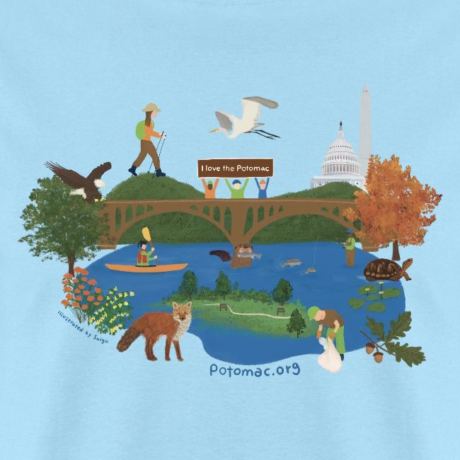 Icons of the Potomac