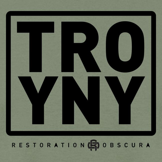 TROY NY Cube