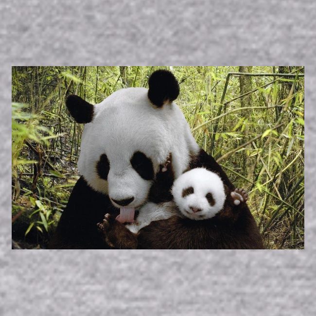 panda