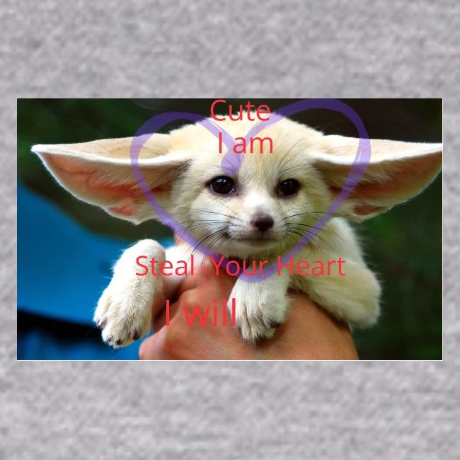 baby fox