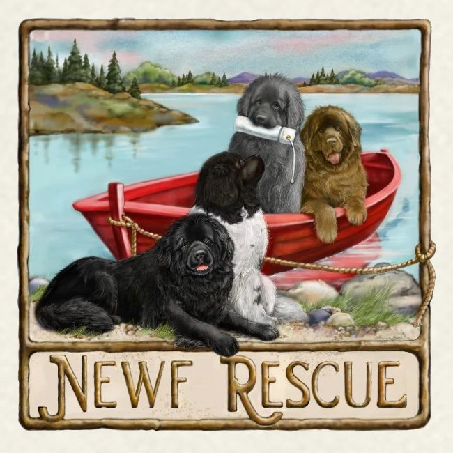 NCA Newfoundland Dog Rescue Gear