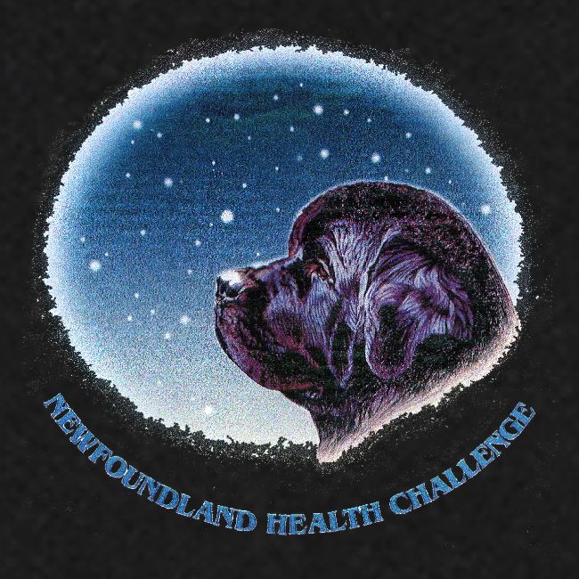 NCA Newfoundland Health Challenge Logo Gear