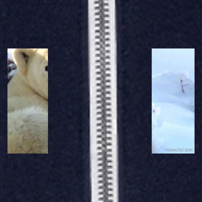 polarbearhug