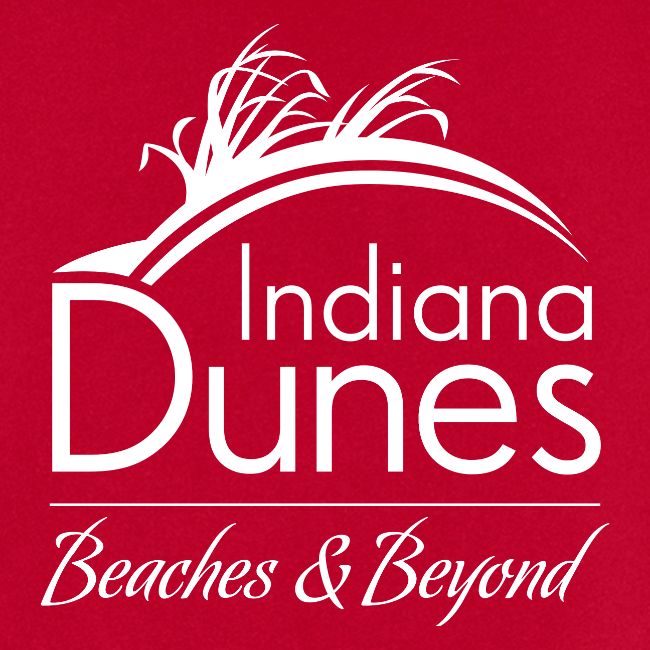 Indiana Dunes Beaches and Beyond