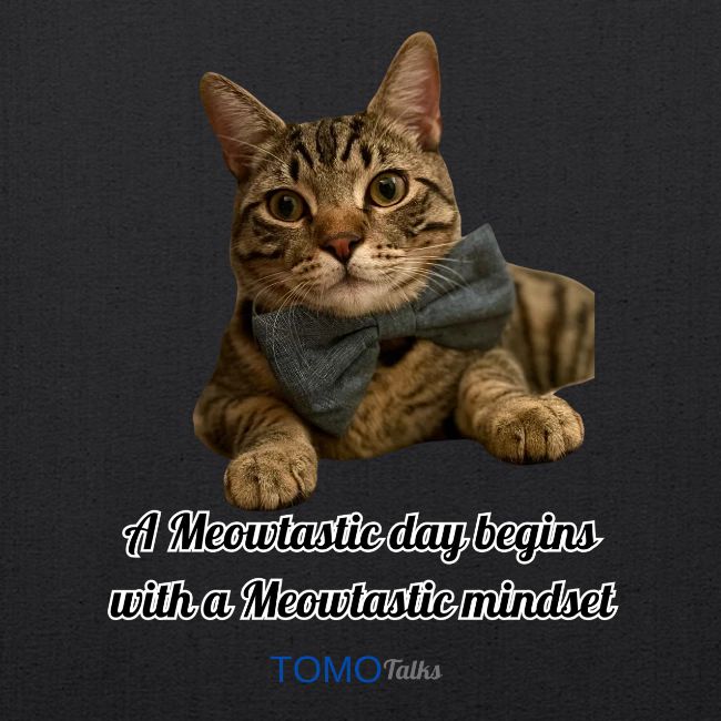 Meowtastic Mindset