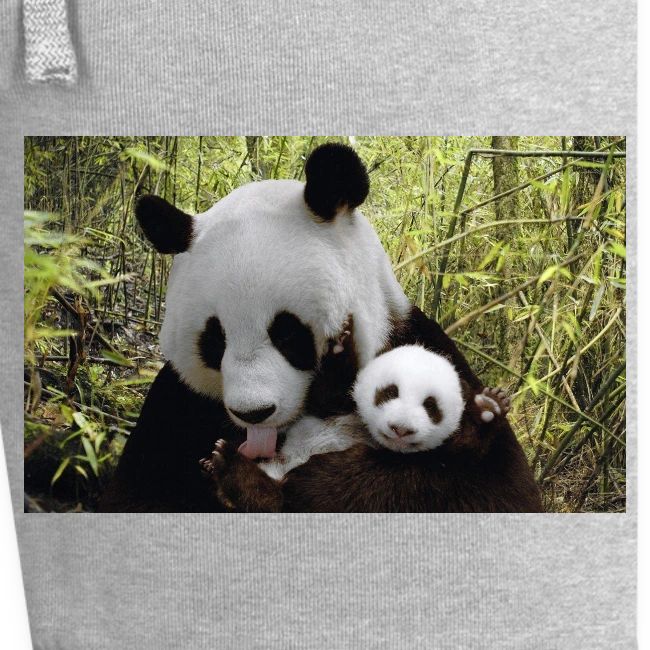 panda