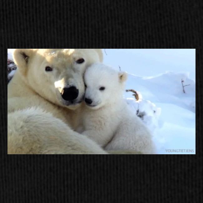 polarbearhug
