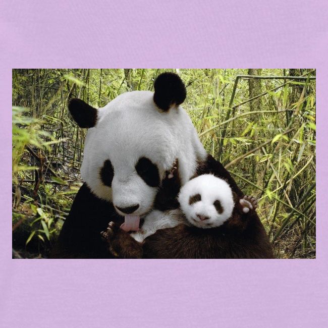 panda