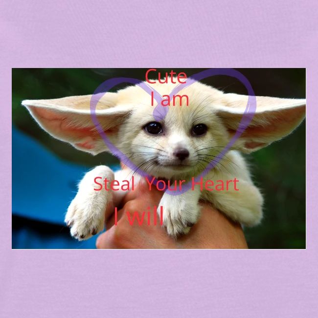 baby fox