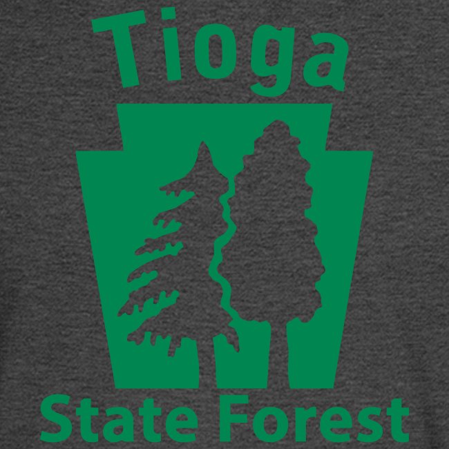 Tioga State Forest Keystone (w/trees)