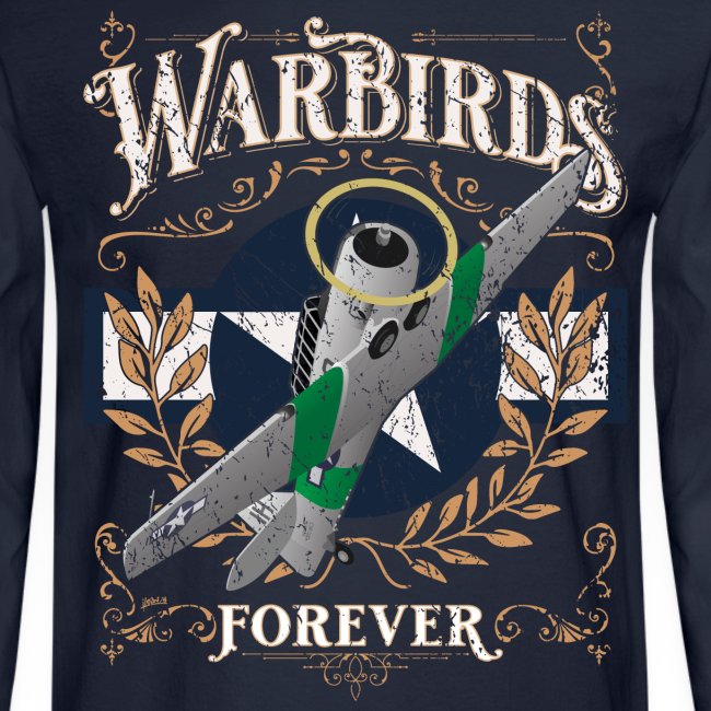 Vintage Warbirds Forever Classic WWII Aircraft