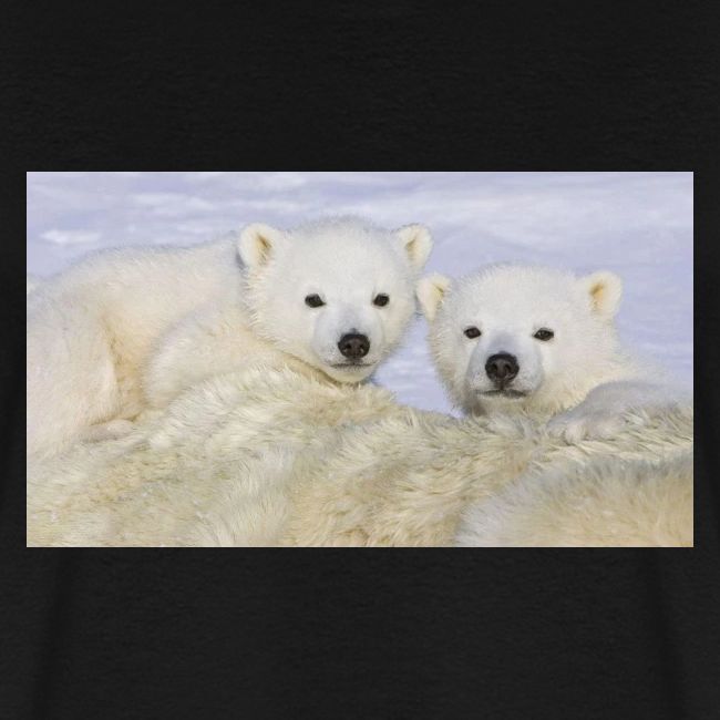 polarbears