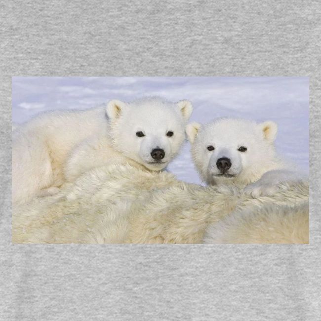polarbears