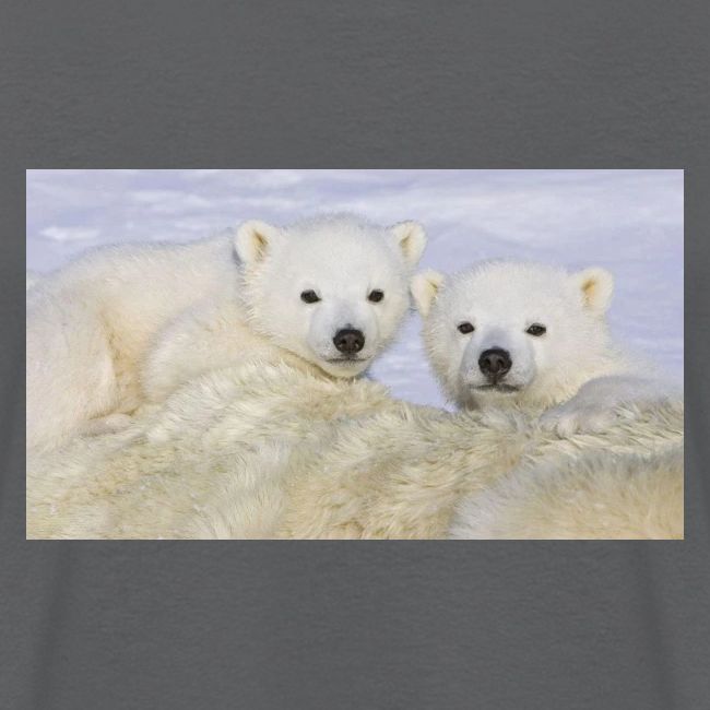 polarbears