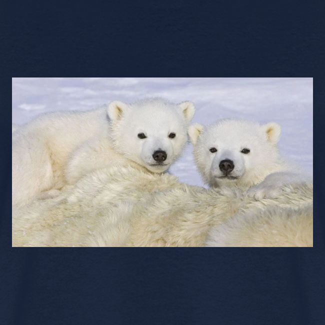 polarbears