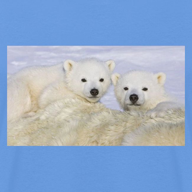 polarbears