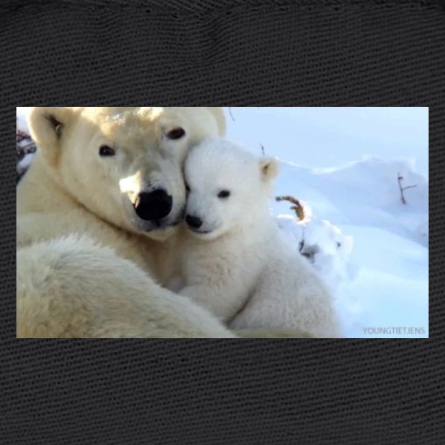 polarbearhug