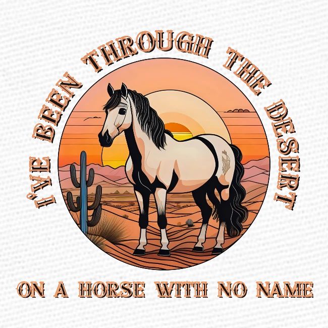 I've been through the desert on a horse