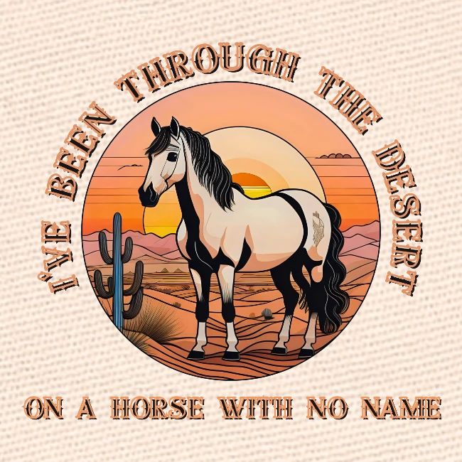 I've been through the desert on a horse