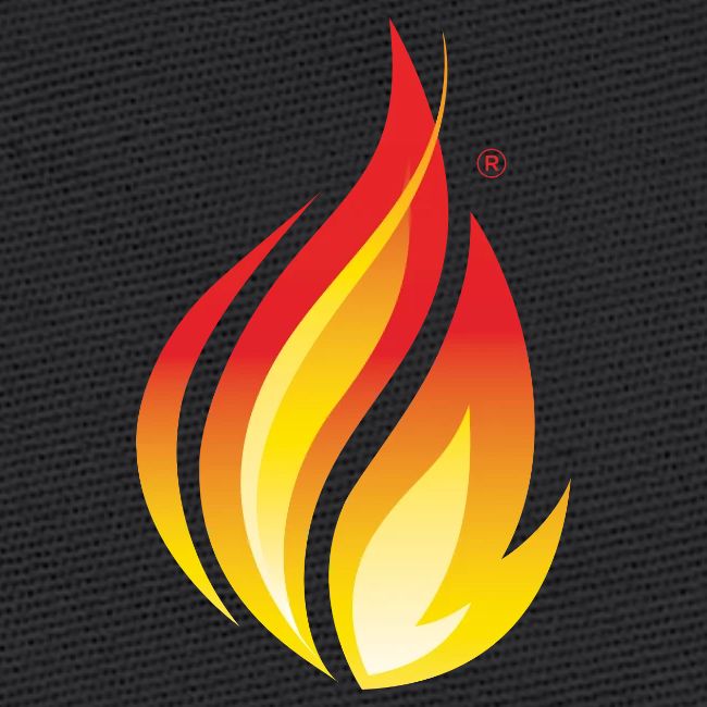 HL7 FHIR Flame Logo