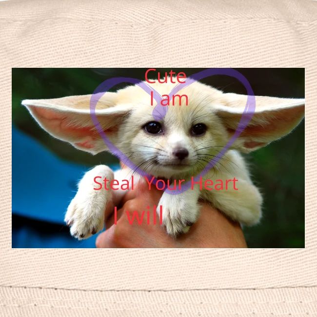baby fox