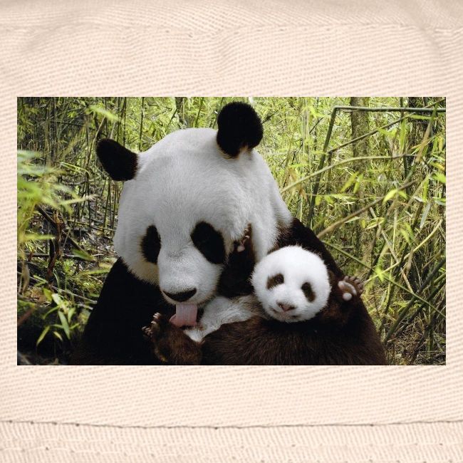 panda