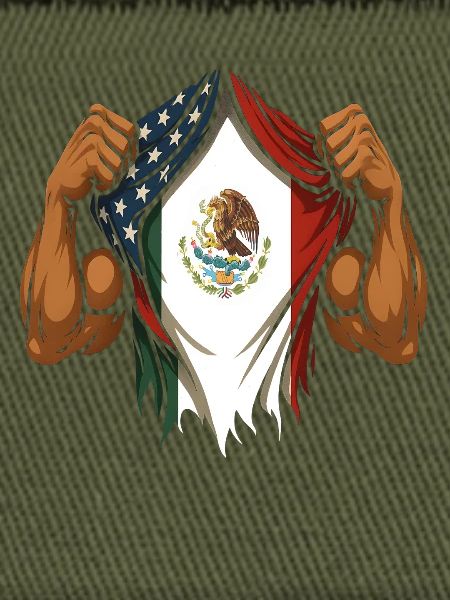Mexican American Flag Mexican Roots