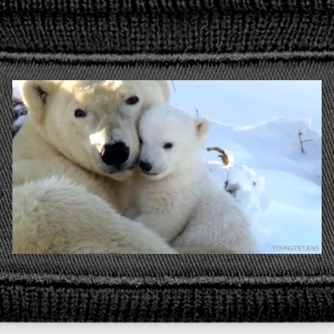 polarbearhug